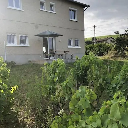 Apartment Petit De Javernieres Rez De Jardin *